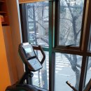 클린바디짐 이미지