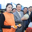 대한생명 (앞) 이미지