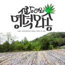사랑해요영덕와송 이미지