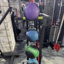 fitnessH