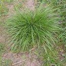 초지축산 이미지