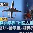 항공기 새 떼 충돌 예방 이미지