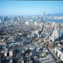 뉴태평양공인중개사사무소 이미지