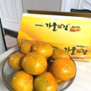 민재농장 이미지