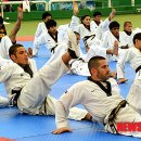 반딧불태권도체육관 이미지