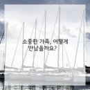 애견이야기 이미지