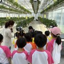 남촌초등학교 이미지