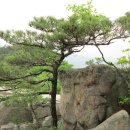 [11월30일]암릉이 아름다운 관악산 학바위,자하능선 이미지