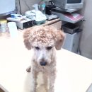 가좌종합동물병원 이미지