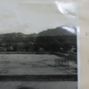 춘천고등학교 이미지