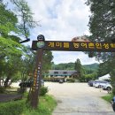 행복한개미