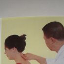 엄지손 이미지