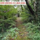 신선동-4 이미지