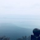 오아시타 이미지