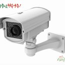 일일구환경 이미지