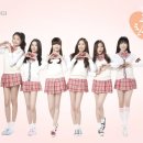 호식이두마리치킨구