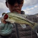 월동소류지 이미지