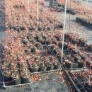 대열농장 이미지