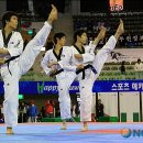 호돌이태권도체육관 이미지