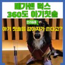 메가럭스덴탈 | 강아지 칫솔 추천 메가텐 럭스360도 아기 칫솔