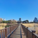 미추홀공원 다례원 | 인천 연수구 가볼만한 곳 미추홀공원 산책했어요