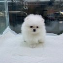 베테랑P&K 이미지