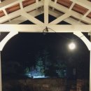 펫더가든 이미지