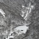 설국농장 이미지