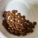 퍼펙트바이트 이미지