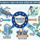 이든커리어 티스토리