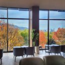 폴바셋대구수성못점 | 대구단풍카페 수성못 대형카페 폴바셋 주차 후기