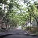 송정부분정비 이미지