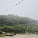 여객선관광안내소 | <국내여행 / 전남 진도 남쪽 국립한려해상공원 조도군도 조도(조도6군도) 섬여행>