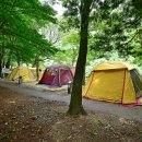 내장산국립공원 내장야영장 이미지