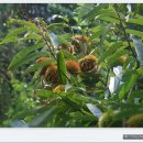 (주)정안 이미지