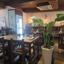 소코아수원 | 수원역 맛집 소코아 카레,돈까스 내돈내산 솔직후기