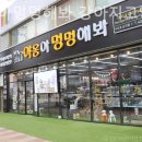 야옹아멍멍해봐강아지고양이삼각점
