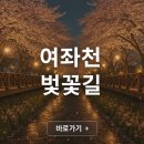 여좌천 벚꽃 명소 총정리 사진 포인트 산책코스 야경까지