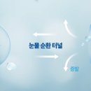 드림콘택트렌즈 이미지