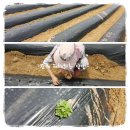 수촌농장 이미지