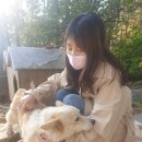 머물인 어우림 | 순천 펜션 머물인어우림 새처럼 강아지,토끼 모두 관리가 안되는.. 이럴거면 키우지마세요;;