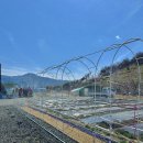 도담도담농장 이미지