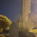 지수면-2 이미지