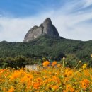 들꽃나라농장 이미지