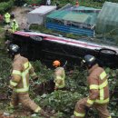 동구버스-1 이미지