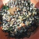 대명민박 이미지