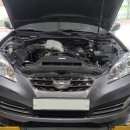 지디카프라자 이미지