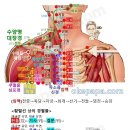 운문(雲門)-LU2 이미지