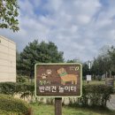 안전나무 맘편한 작은도서관 | 🐶 청주 반려견 놀이터, 맘껏 뛰어놀고 주차까지 편한 무료 천국! (월요일 휴무 확인!) 🚗