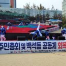 용인대석사청무태권도 이미지